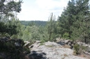 forêt des 3 Pignons
